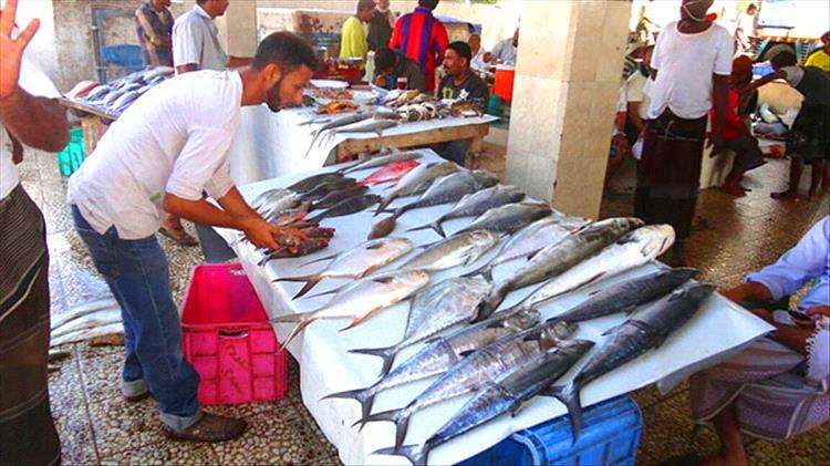 مراكز إنزال وساحات حراج عدن تدعو لآلية شفافة لتسعير الأسماك
