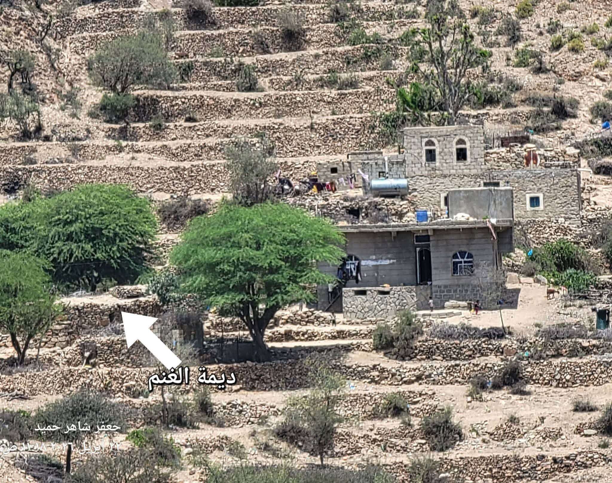 الكشف عن سبب مقتل شاب في القبيطة