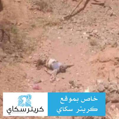 شاهد صورة الجثة التي تم العثور عليها صباح اليوم