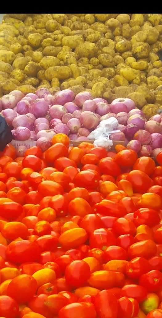 تعرف على أسعار الخضار صباح اليوم بعدن