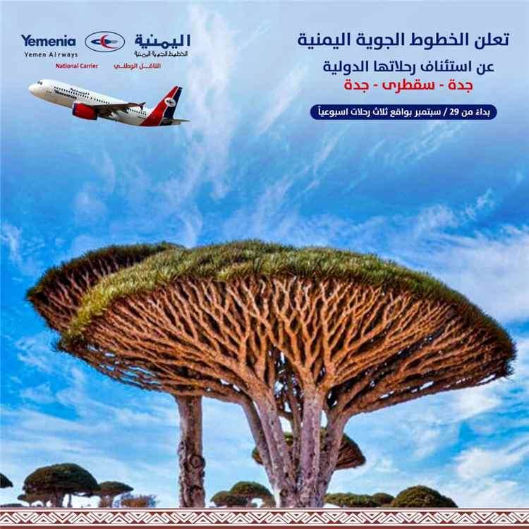 اليمنية تعلن استئناف رحلات جدة – سقطرى – جدة بواقع ثلاث رحلات أسبوعيا