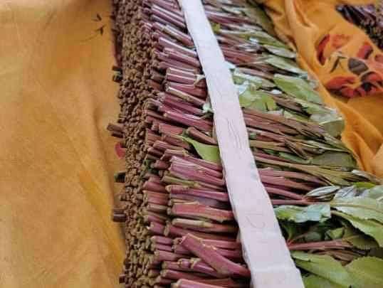 السماح بدخول القات الى عدن
