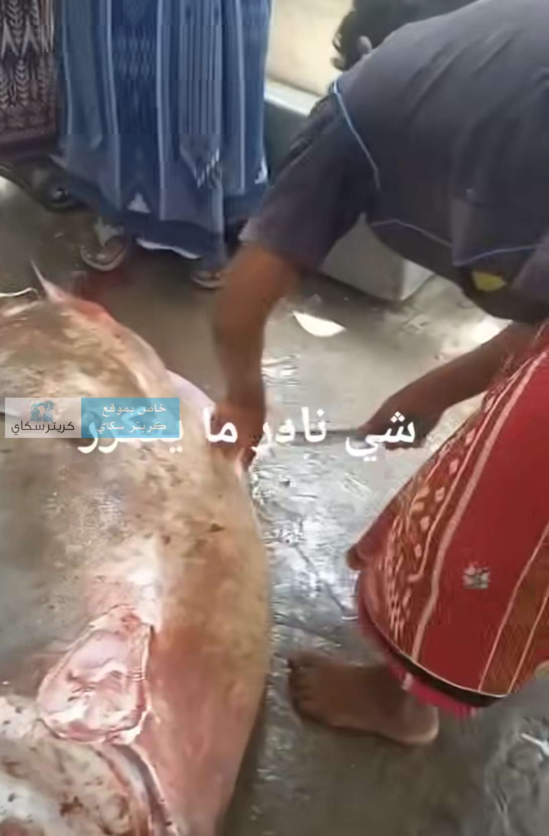 غضب واسع بعد اصطياد 