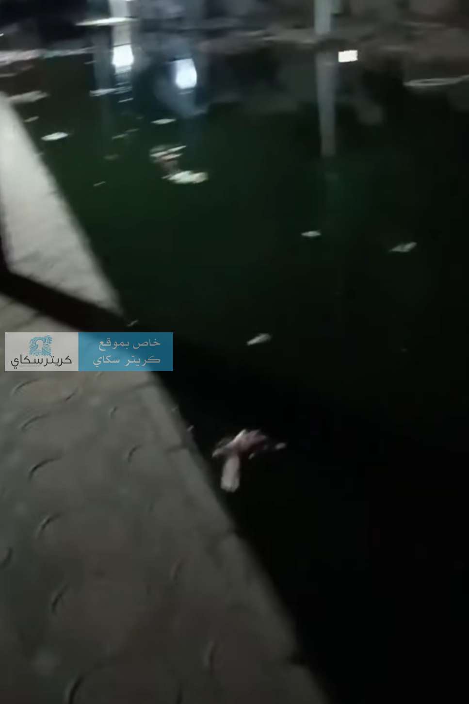 كارثة بيئية بعدن