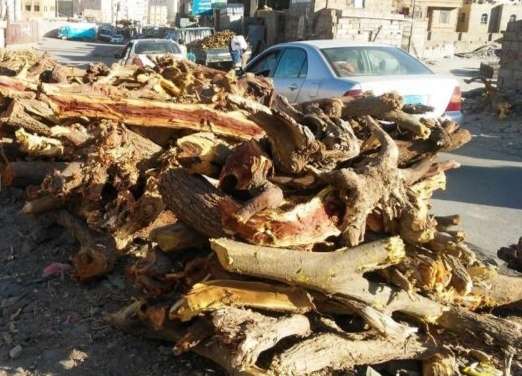 في عزّ الصيف.. أسر عدنية تعود إلى الحطب بعد اختفاء الغاز