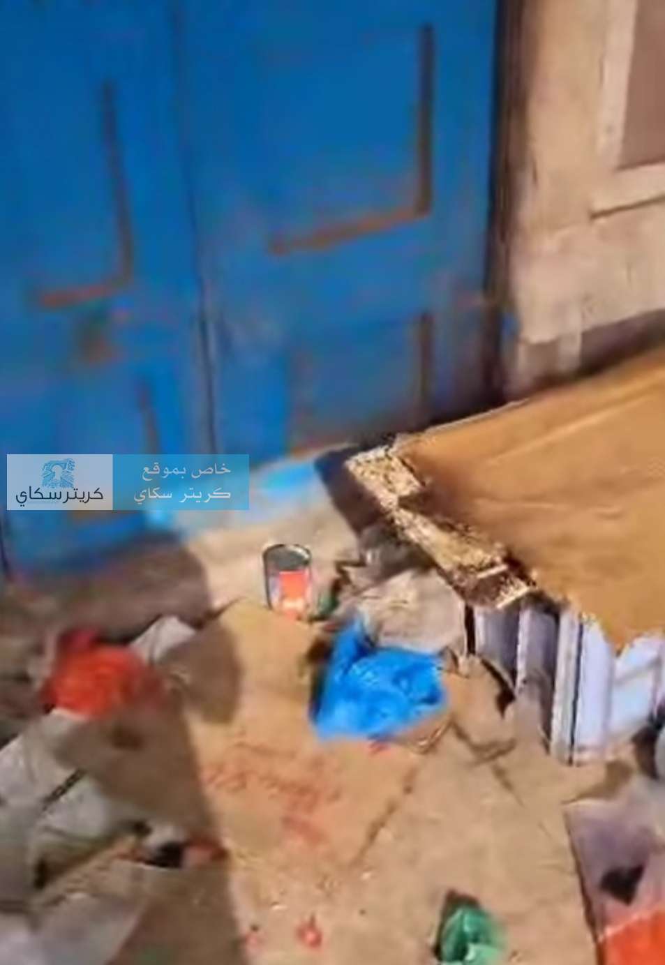 مشكلة تؤرق التجار والعملاء.. شكاوى من مخلفات بيع الأسماك في عدن
