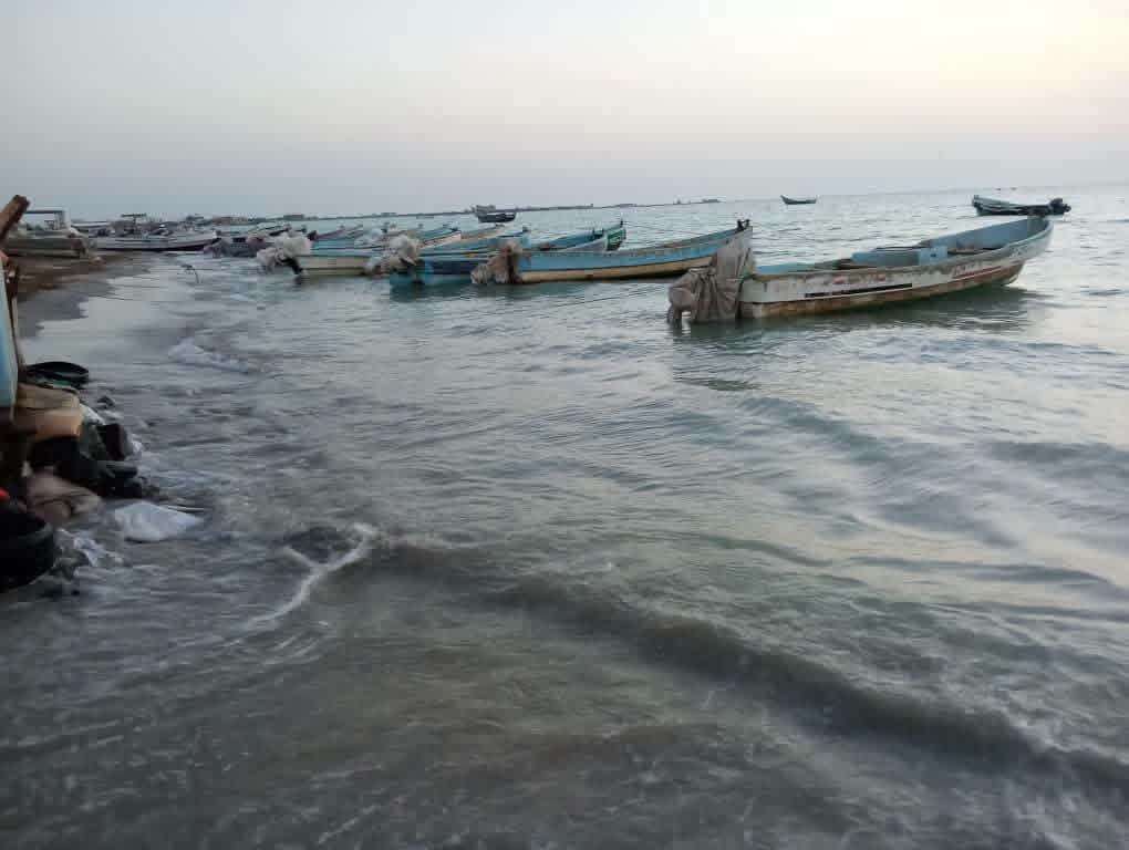 انفراجة للصيادين في الساحل الغربي.. رفع حظر الاصطياد اعتبارًا من اليوم