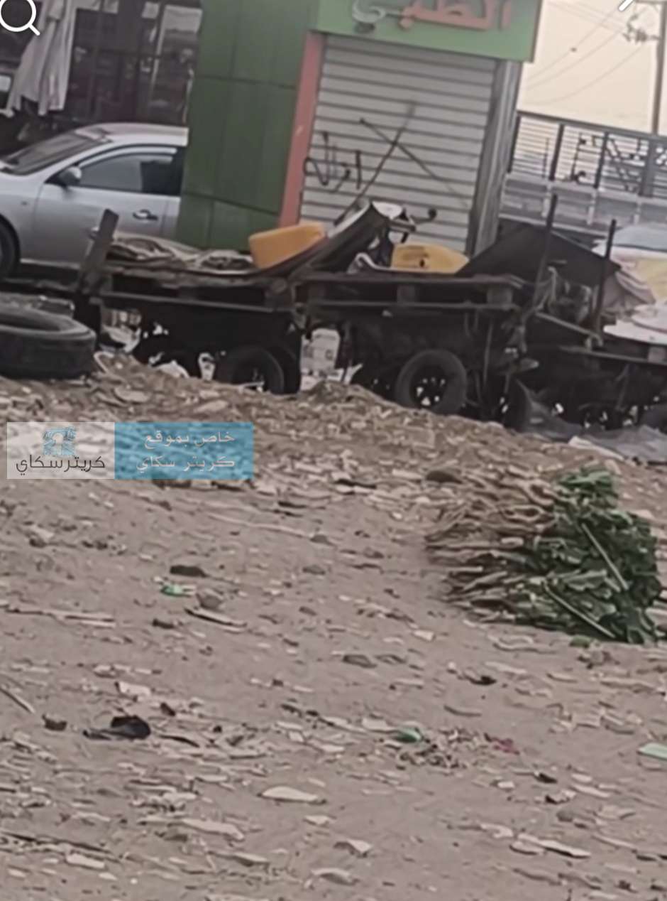 من الشاحنة إلى الشارع.. خضار تُرمى على الأرض ثم تُباع للمواطنين!