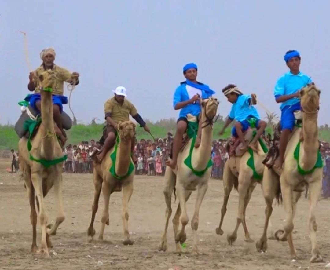 الحديدة تحتفي بموسم التمور بهذه الطريقة