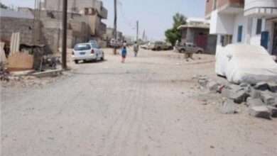 وديع منصور: من استباح أراضي وأحواش عدن تحت شعار الدفاع عن القضية؟