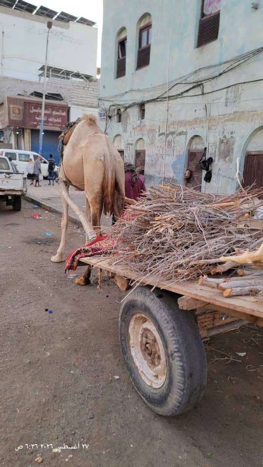 عودة نشاط بائعي الحطب في العاصمة عدن بسبب أزمة الغاز المنزلي