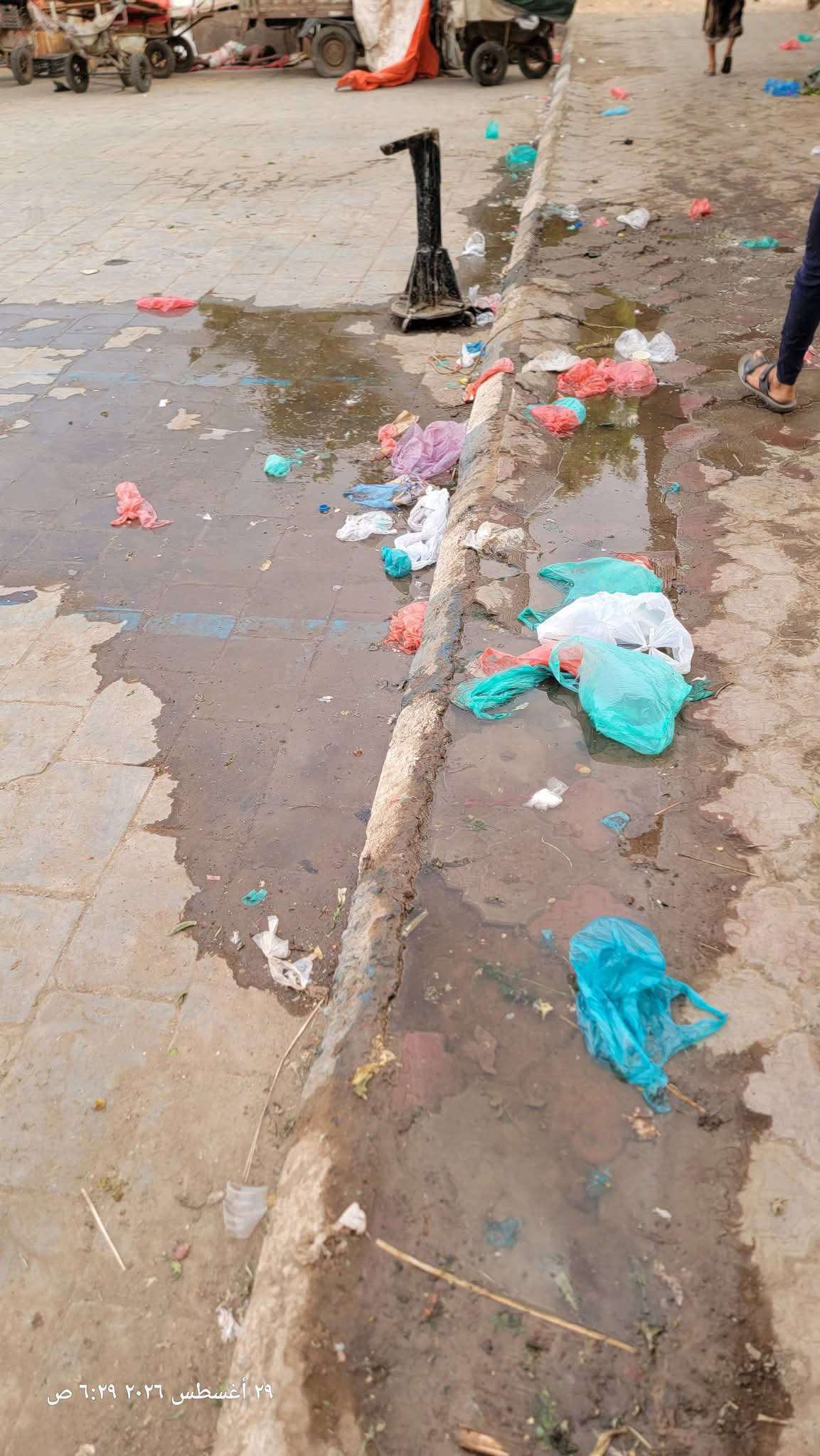 مطالبة بصيانة هذا الأمر أمام سوق السمك في المنصورة