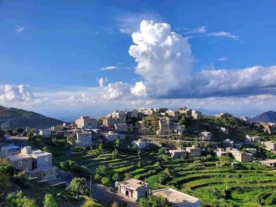 جريمة أسرية مروعة في حيفان بتعز