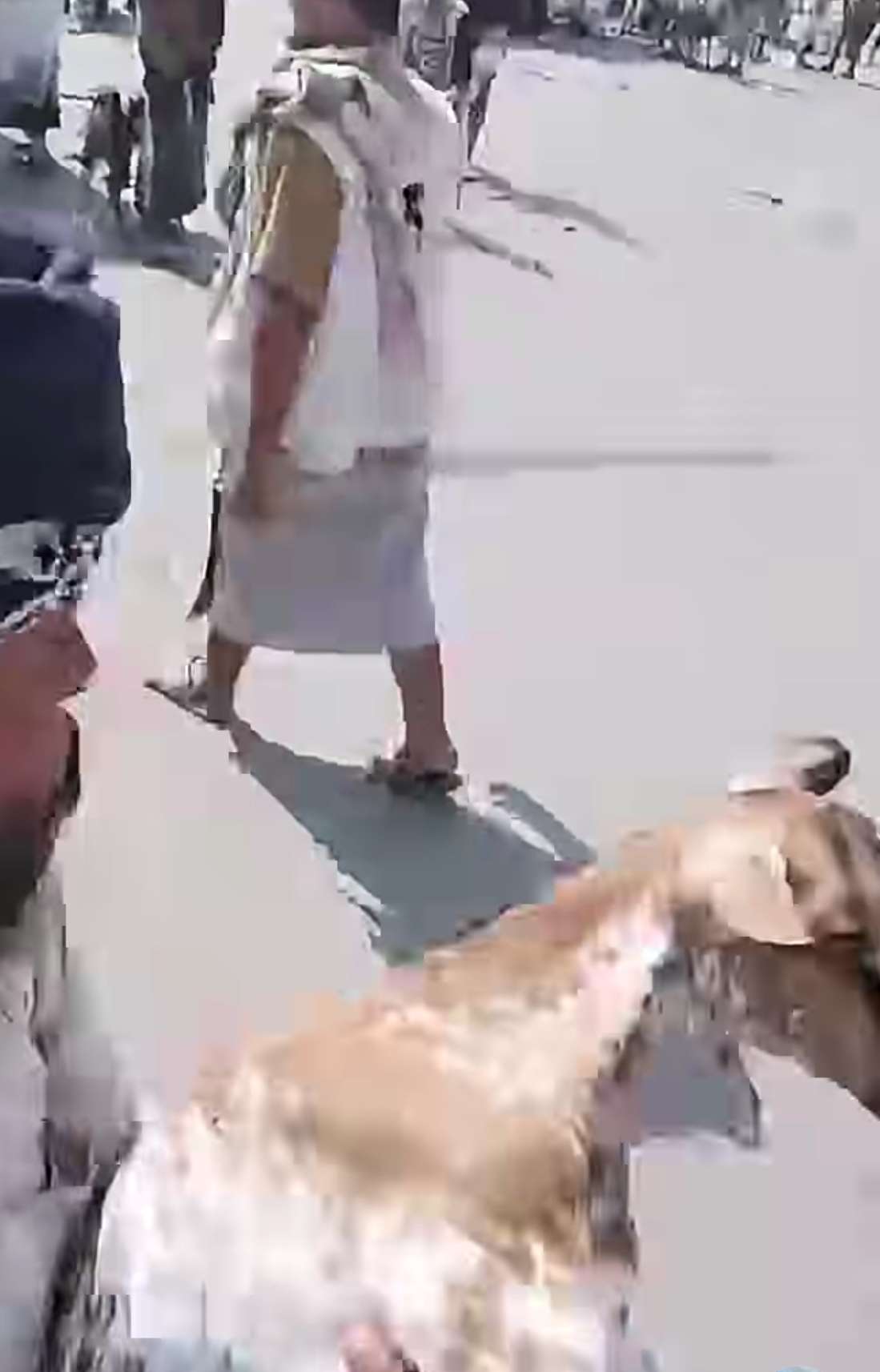 شاب يعلن بيع اغنام من ٥٧ الف وارسالها الى عدن