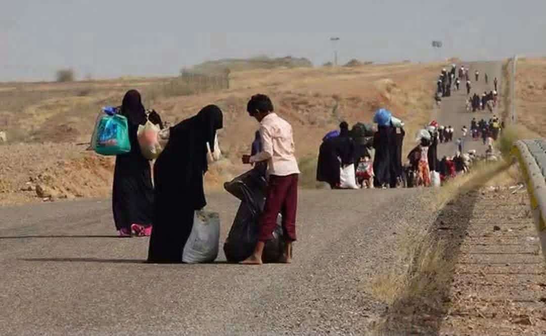 إطلاق حملة إنسانية لمساندة الأسر النازحة في يافع