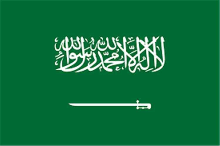 اول تحرك للسعودية عقب سيطرة الحوثي على باب المندب