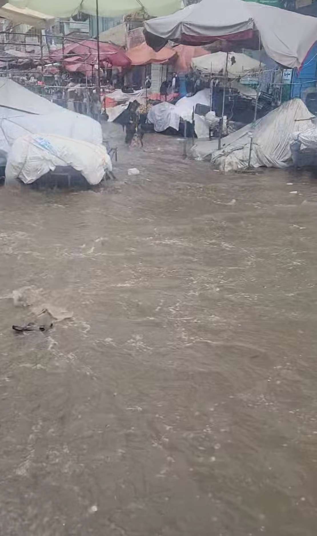 عاجل | أمطار غزيرة وسيول تغمر سوقًا في مدينة تعز