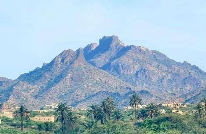 عاجل:قبل سقوط الصبيحة.. مناشدة لتحريك الجبهات الأخرى وإرباك الحوثيين