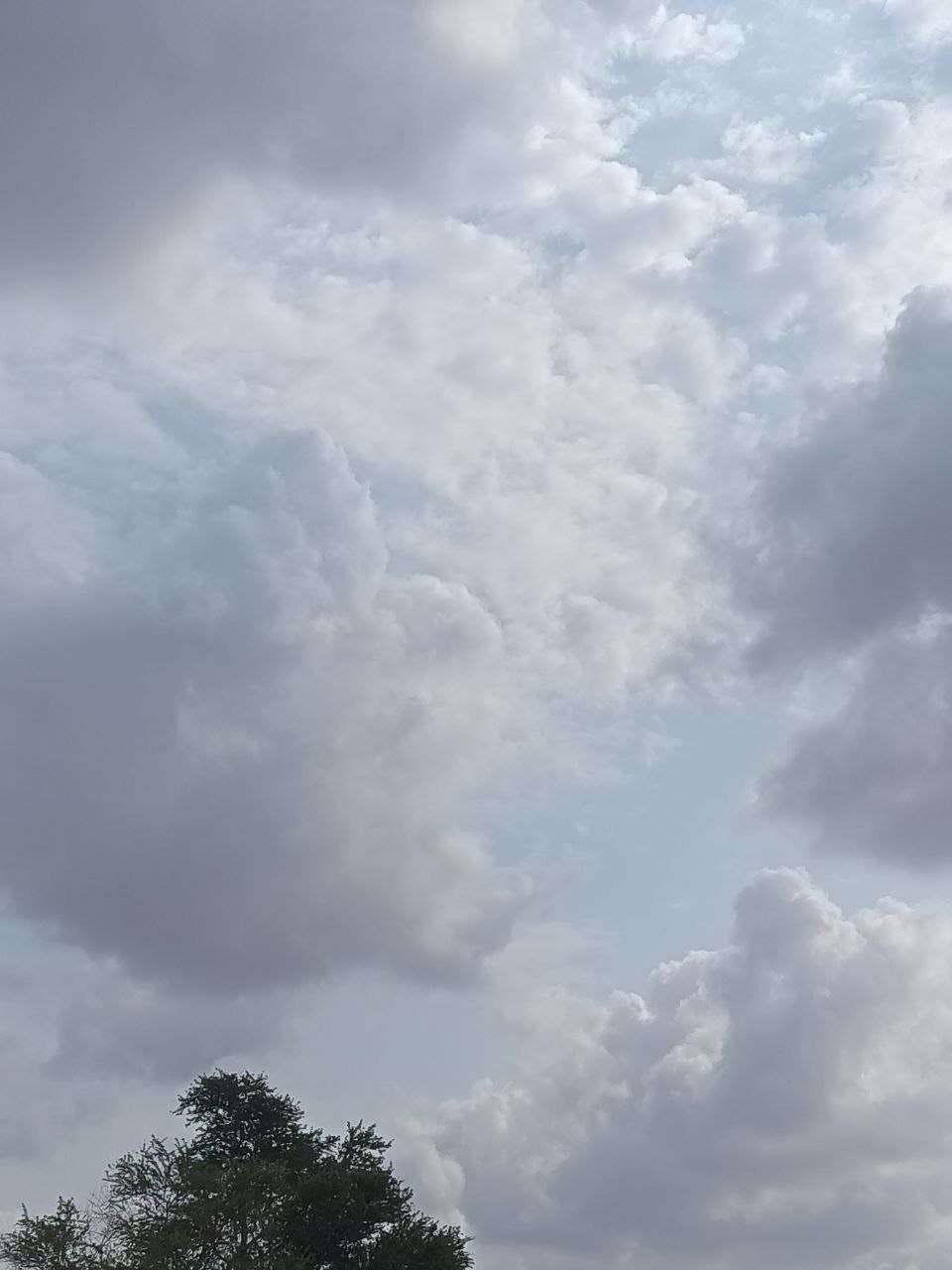 يحدث الآن.. غيوم كثيفة تغطي سماء لحج (صورة)