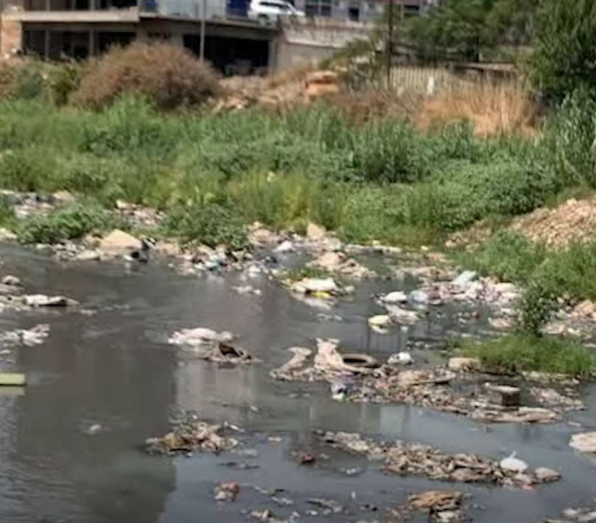 كارثة صحية وبيئية: الري بمياه المجاري في صنعاء ينذر بـ 