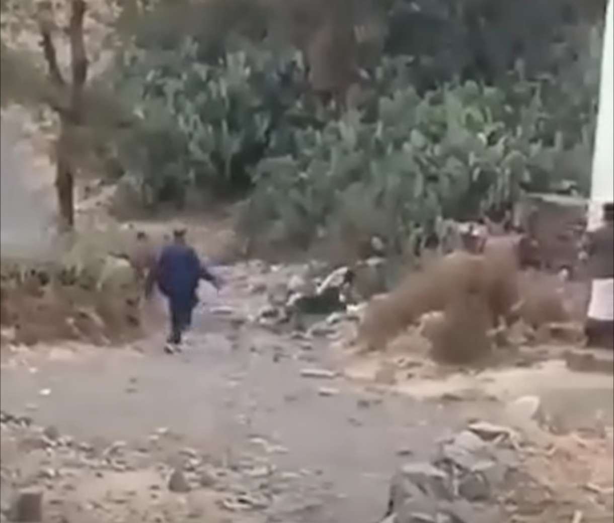 جريمة مروعة في إب: شاب يطلق النار على شقيقه ويصيب ? مسعفين بقنبلة يدوية