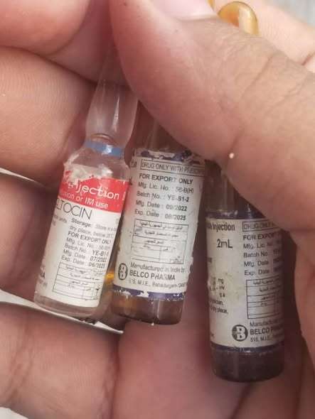 مواطنون يشتكون من إحراق أدوية مسرطنة وسط الأحياء