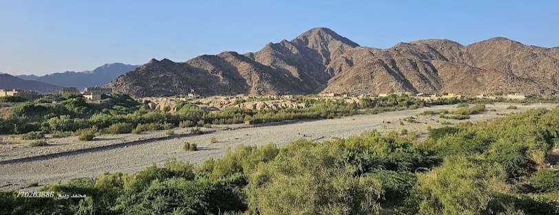 عناصر مسلحة تنصب فخاً لمواطن في منطقة 