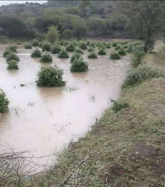 هطول أمطار خير على تعز