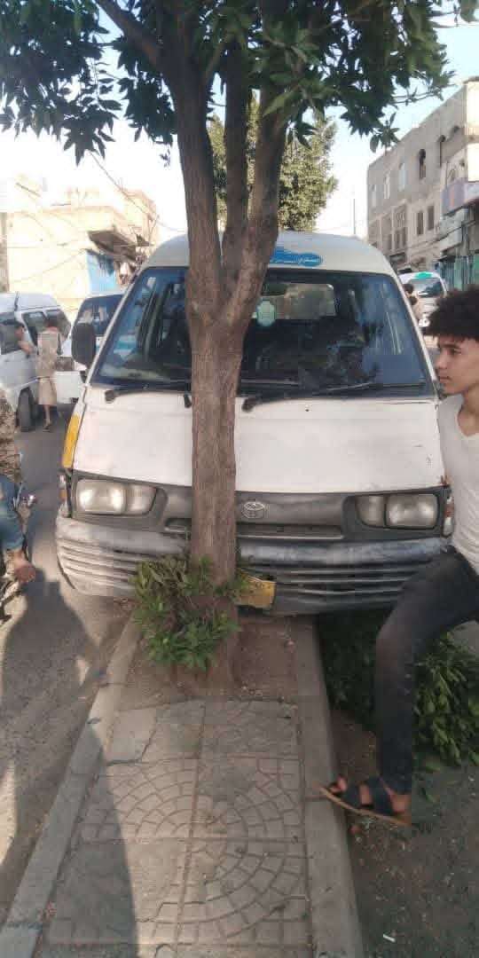 شجرة تنقذ الأرواح في حادث مروري